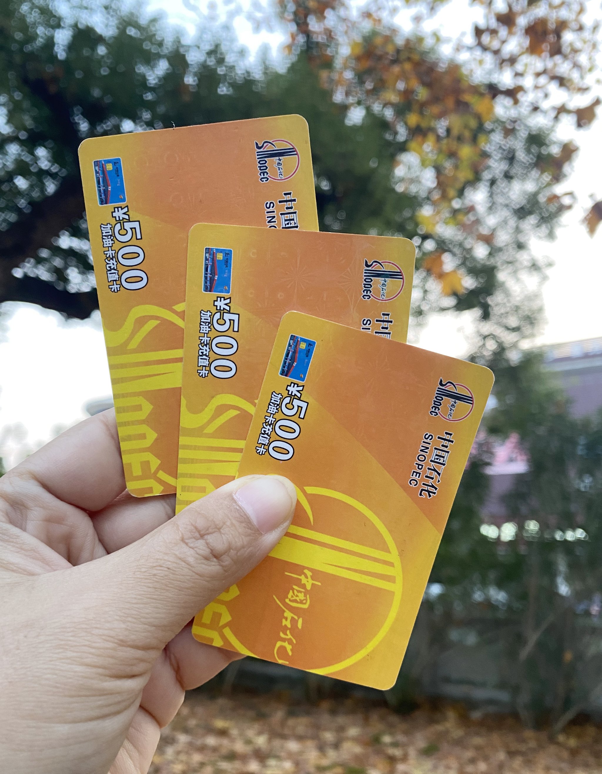 慈溪最新充值卡批发自助下单方法分析(最方便真实的慈溪充值卡批发自助下单app方法)